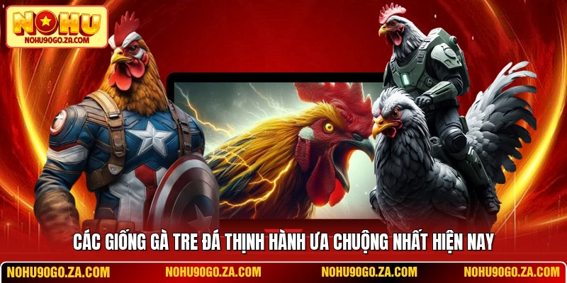Các Giống Gà Tre Đá Thịnh Hành Ưa Chuộng Nhất Hiện Nay