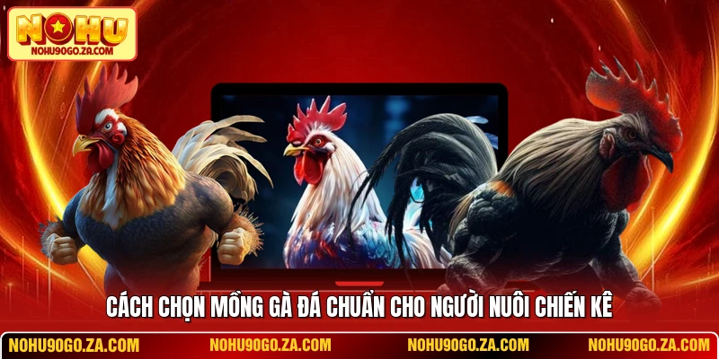 Cách Chọn Mồng Gà Đá Chuẩn Cho Người Nuôi Chiến Kê