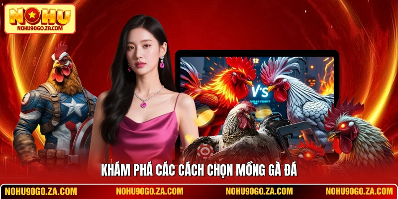 Khám phá các cách chọn mồng gà đá
