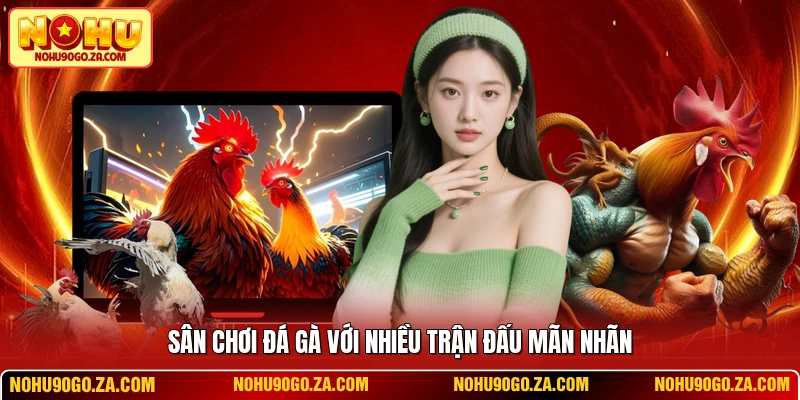 Sân chơi đá gà với nhiều trận đấu mãn nhãn