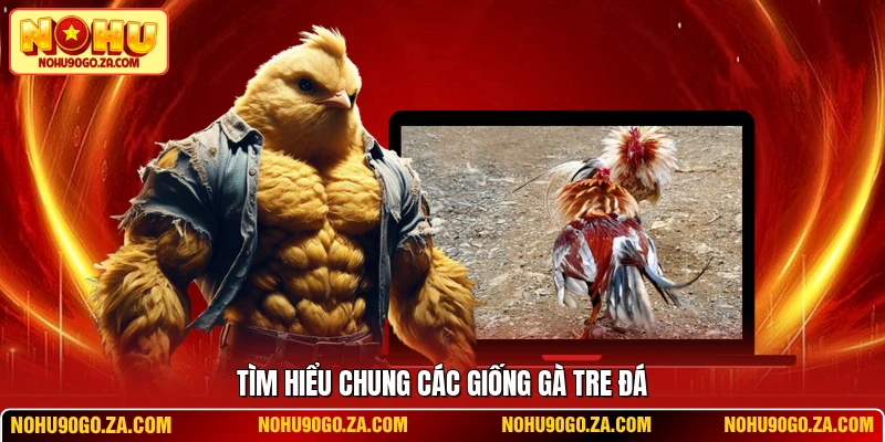 Tìm hiểu chung các giống gà tre đá