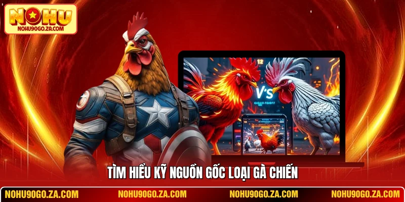 Tìm hiểu kỹ nguồn gốc loài gà chiến